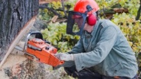Chainsaw ​Safety course